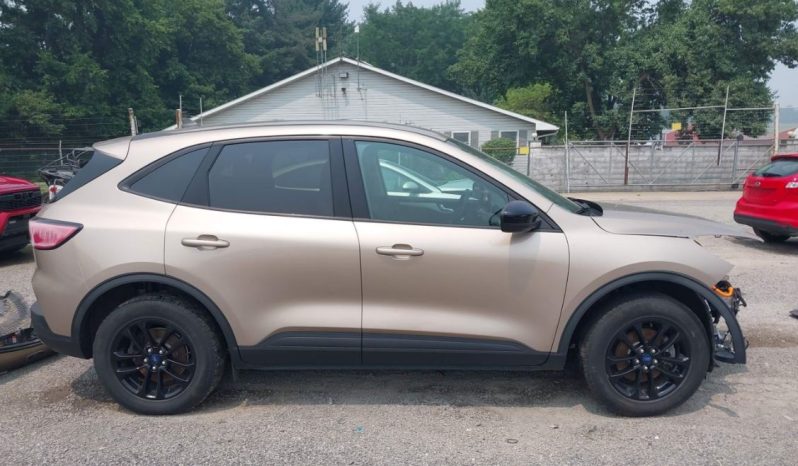 
								Ford Escape full									