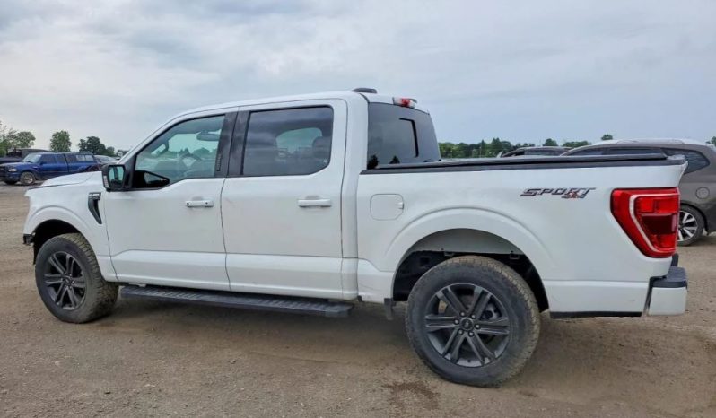 
								FORD F150 full									