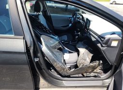 
										Hyundai Ioniq full									