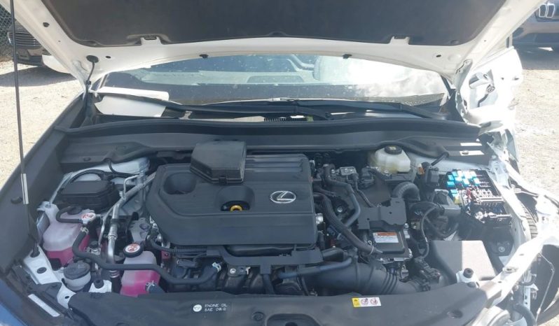 
								Lexus UX 300H full									