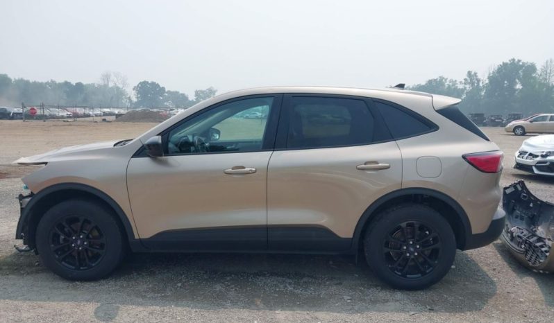 
								Ford Escape full									