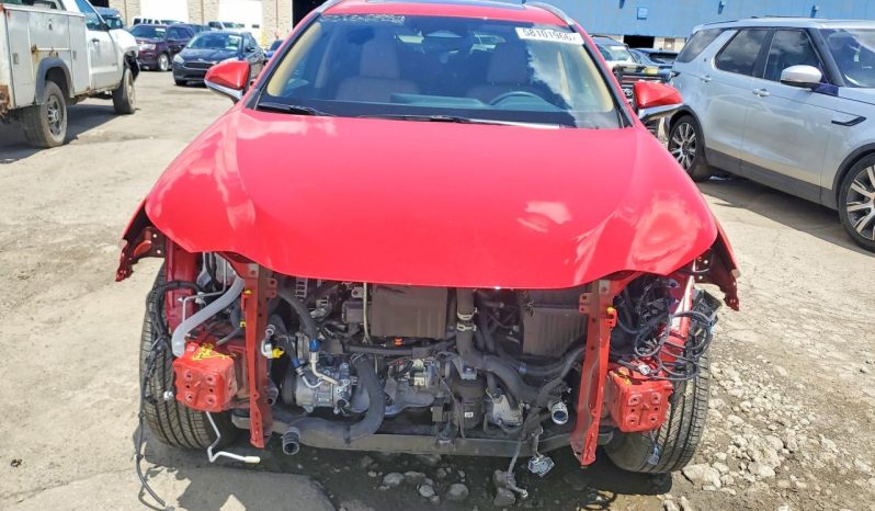 
								Lexus NX full									