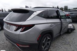 
										Hyundai Tucson full									