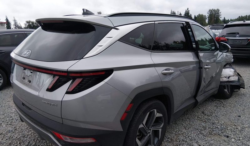 
								Hyundai Tucson full									