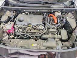 
										Toyota RAV4 full									