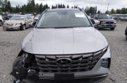 
										Hyundai Tucson full									