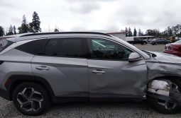 
										Hyundai Tucson full									