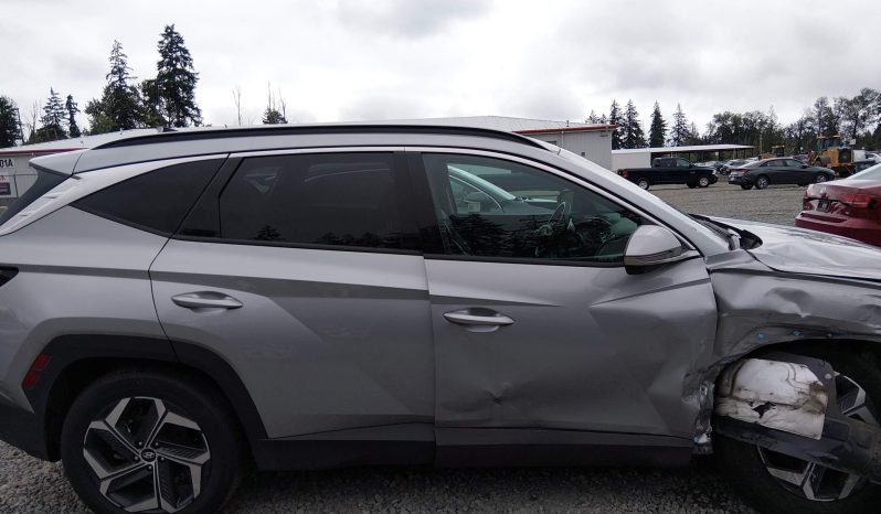
								Hyundai Tucson full									
