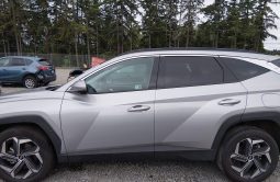 
										Hyundai Tucson full									