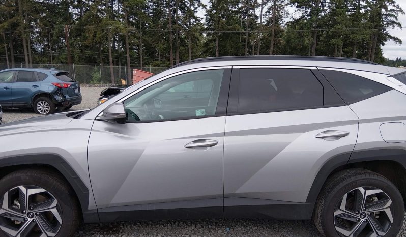 
								Hyundai Tucson full									
