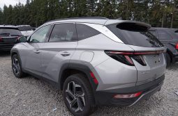 
										Hyundai Tucson full									