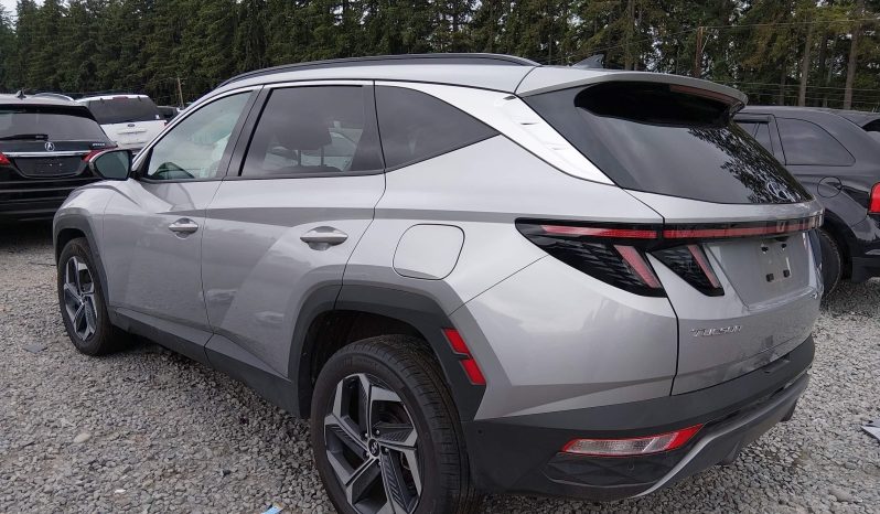 
								Hyundai Tucson full									