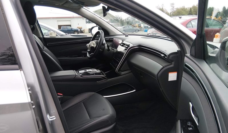 
								Hyundai Tucson full									
