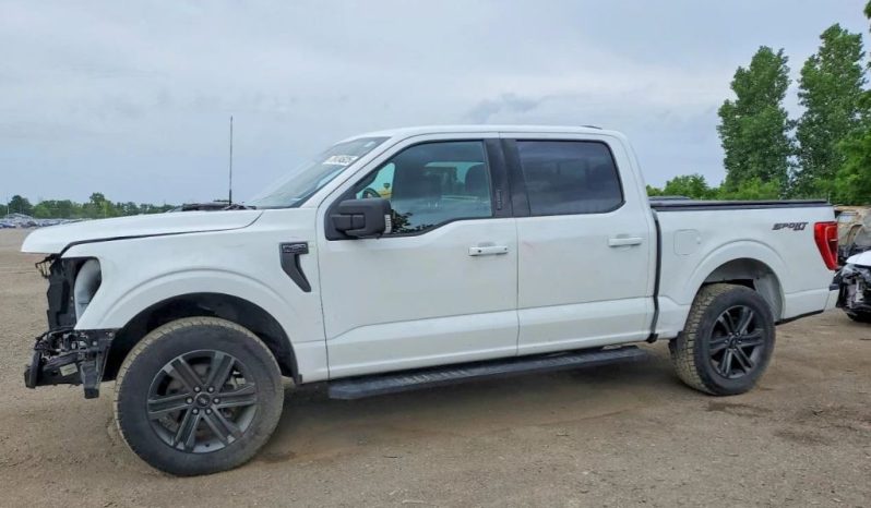 
								FORD F150 full									