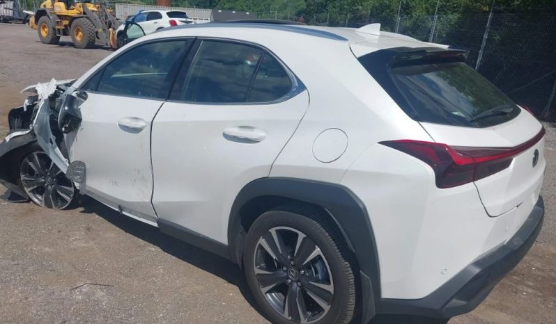 
								Lexus UX 300H full									
