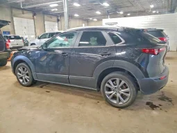 
										Mazda CX-30 full									