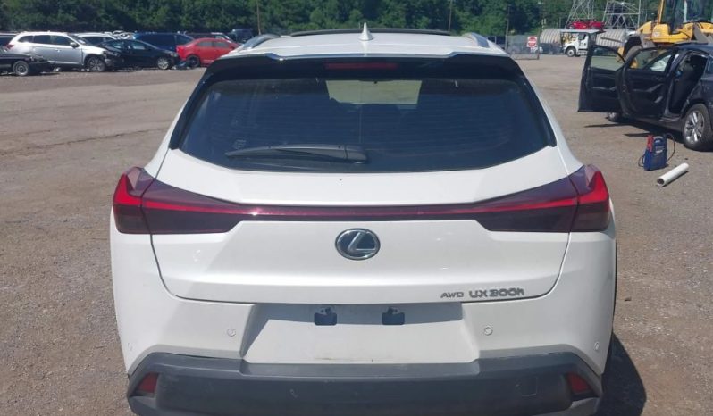 
								Lexus UX 300H full									