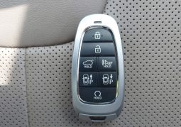 
										Hyundai Santa Fe Limited full									