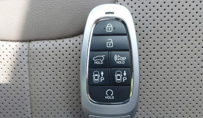 
								Hyundai Santa Fe Limited full									