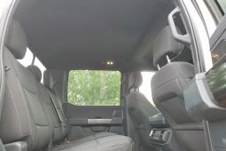 
										FORD F150 full									