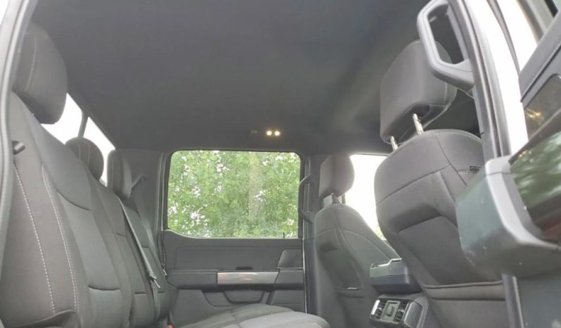 
								FORD F150 full									