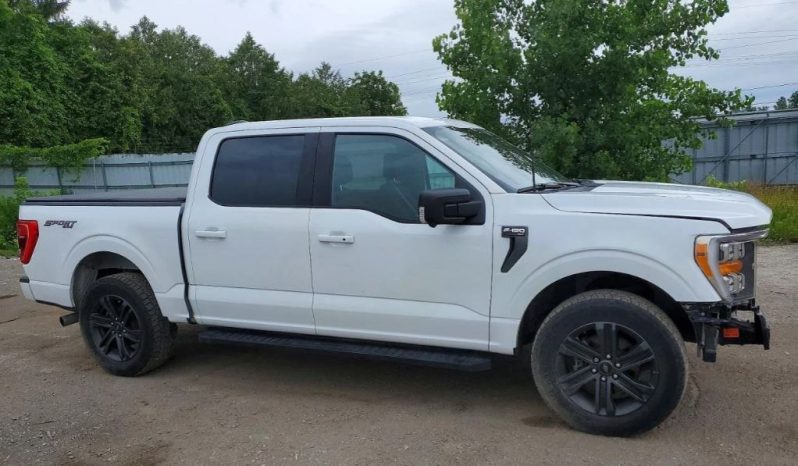 
								FORD F150 full									