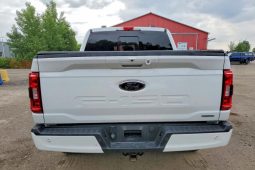 
										FORD F150 full									