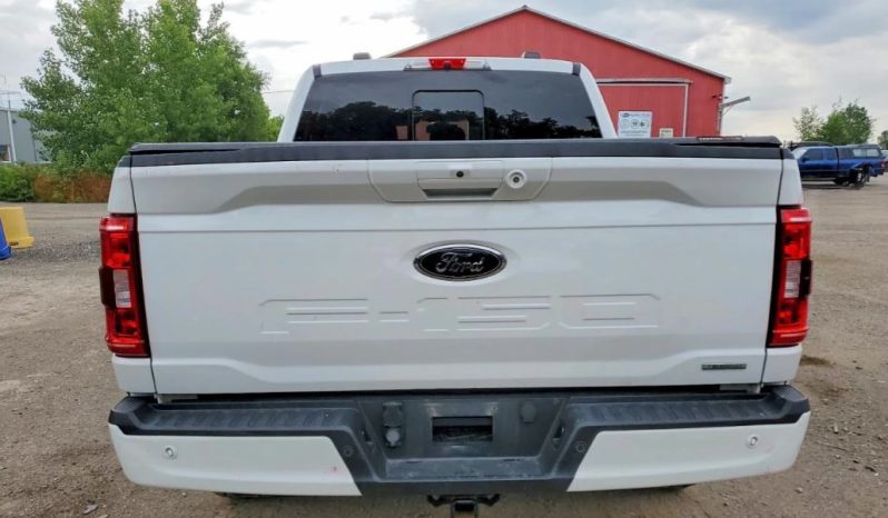 
								FORD F150 full									