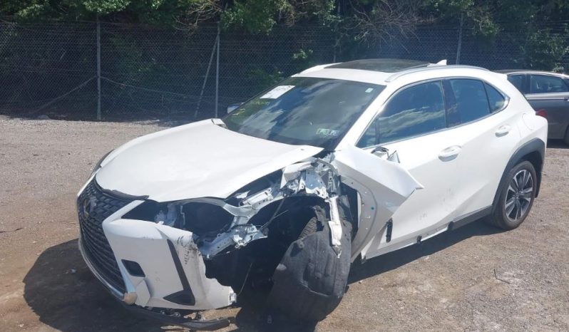 
								Lexus UX 300H full									