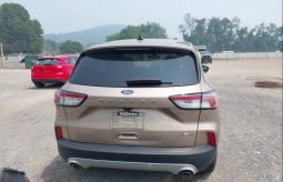 
										Ford Escape full									