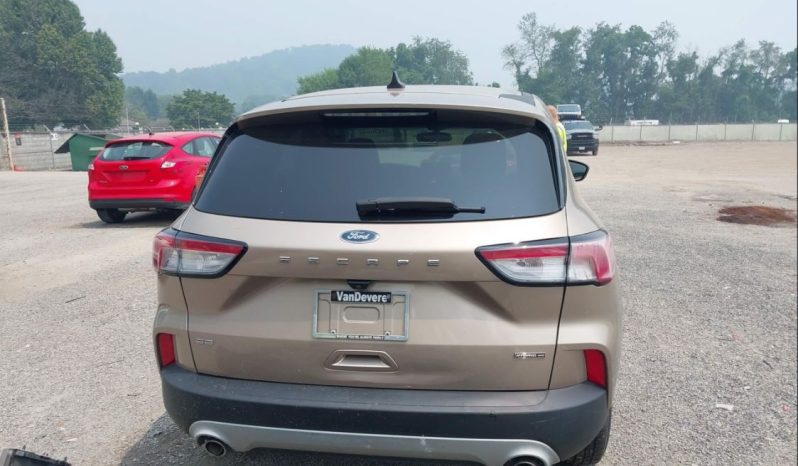 
								Ford Escape full									