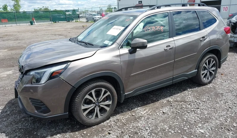 
								Subaru Forester full									