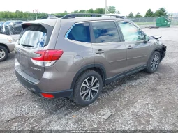 
										Subaru Forester full									