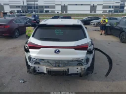 
										Lexus UX 250H full									
