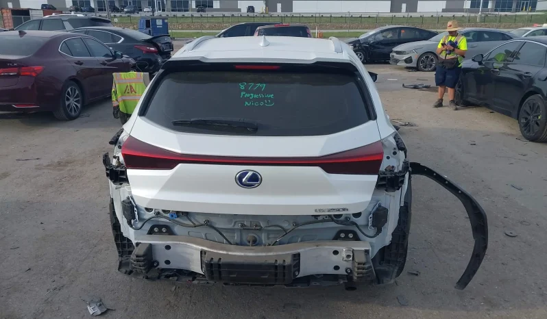 
								Lexus UX 250H full									