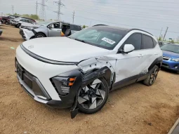 
										Hyundai Kona full									