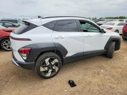 
										Hyundai Kona full									