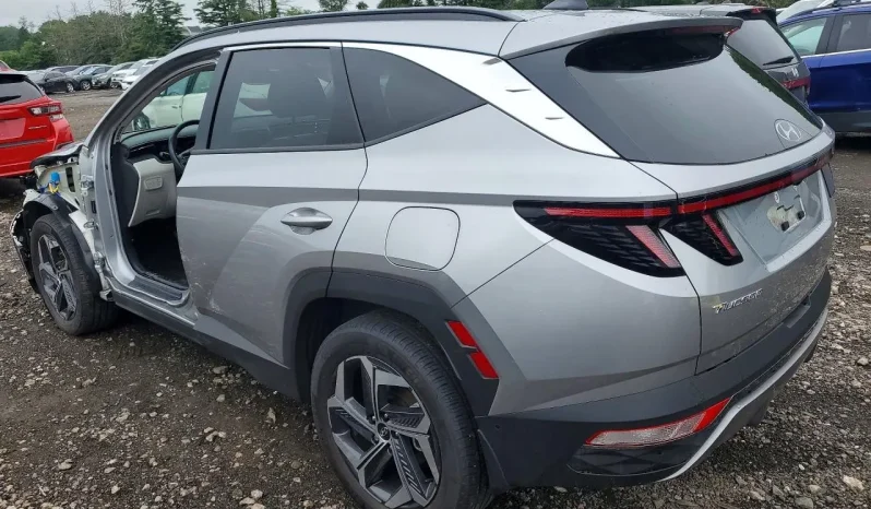 
								Hyundai Tucson Hybrid full									