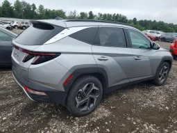 
										Hyundai Tucson Hybrid full									