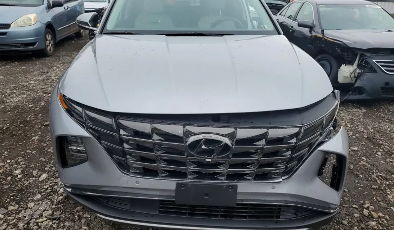 
								Hyundai Tucson Hybrid full									