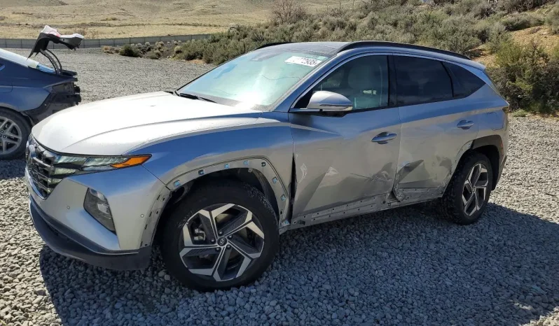 
								Hyundai Tucson full									