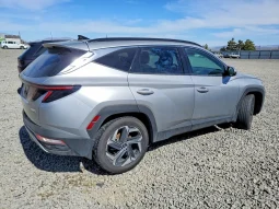 
										Hyundai Tucson full									