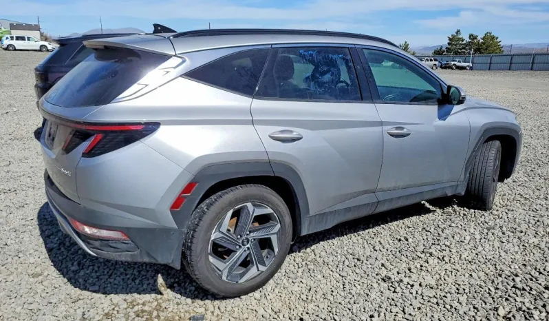 
								Hyundai Tucson full									