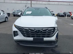 
										Hyundai Tucson full									
