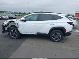 
										Hyundai Tucson full									