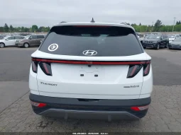 
										Hyundai Tucson full									