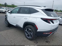 
										Hyundai Tucson full									