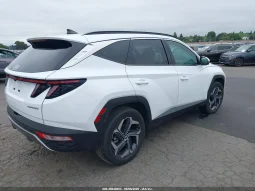 
										Hyundai Tucson full									