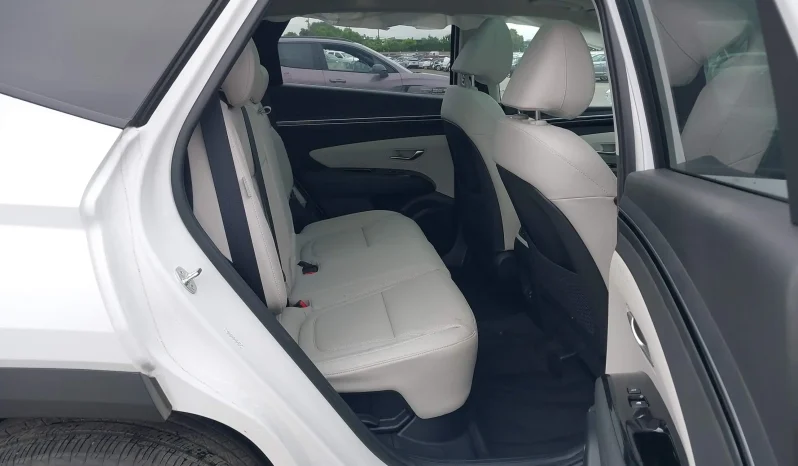 
								Hyundai Tucson full									