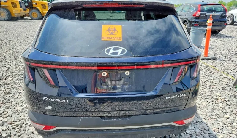 
								Hyundai Tucson full									